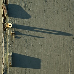 dailyPhoto15